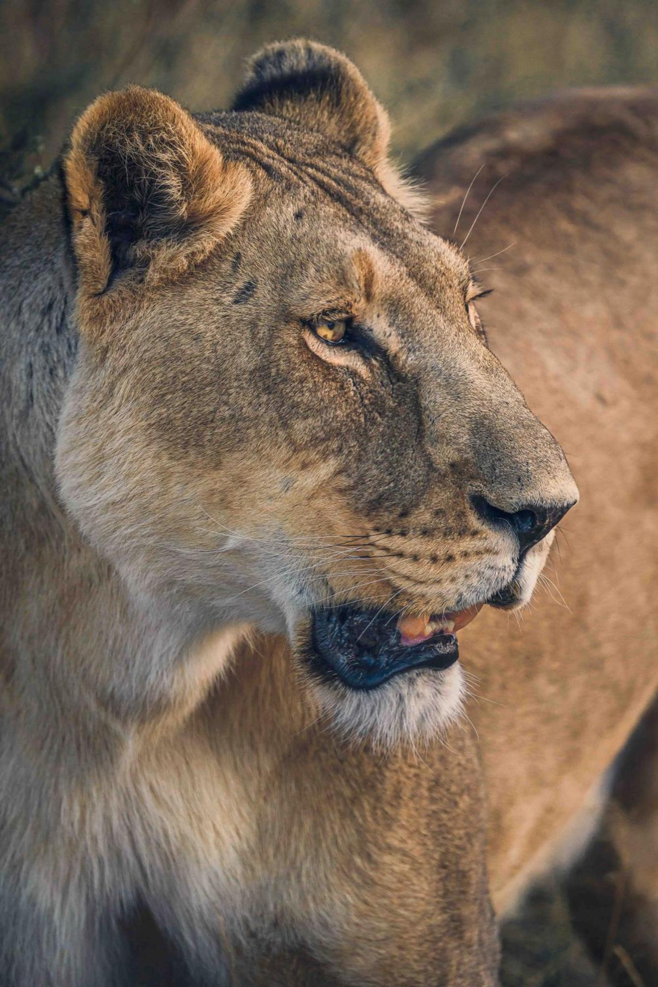 Grassland Safari Lodge Ghanzi Dış mekan fotoğraf